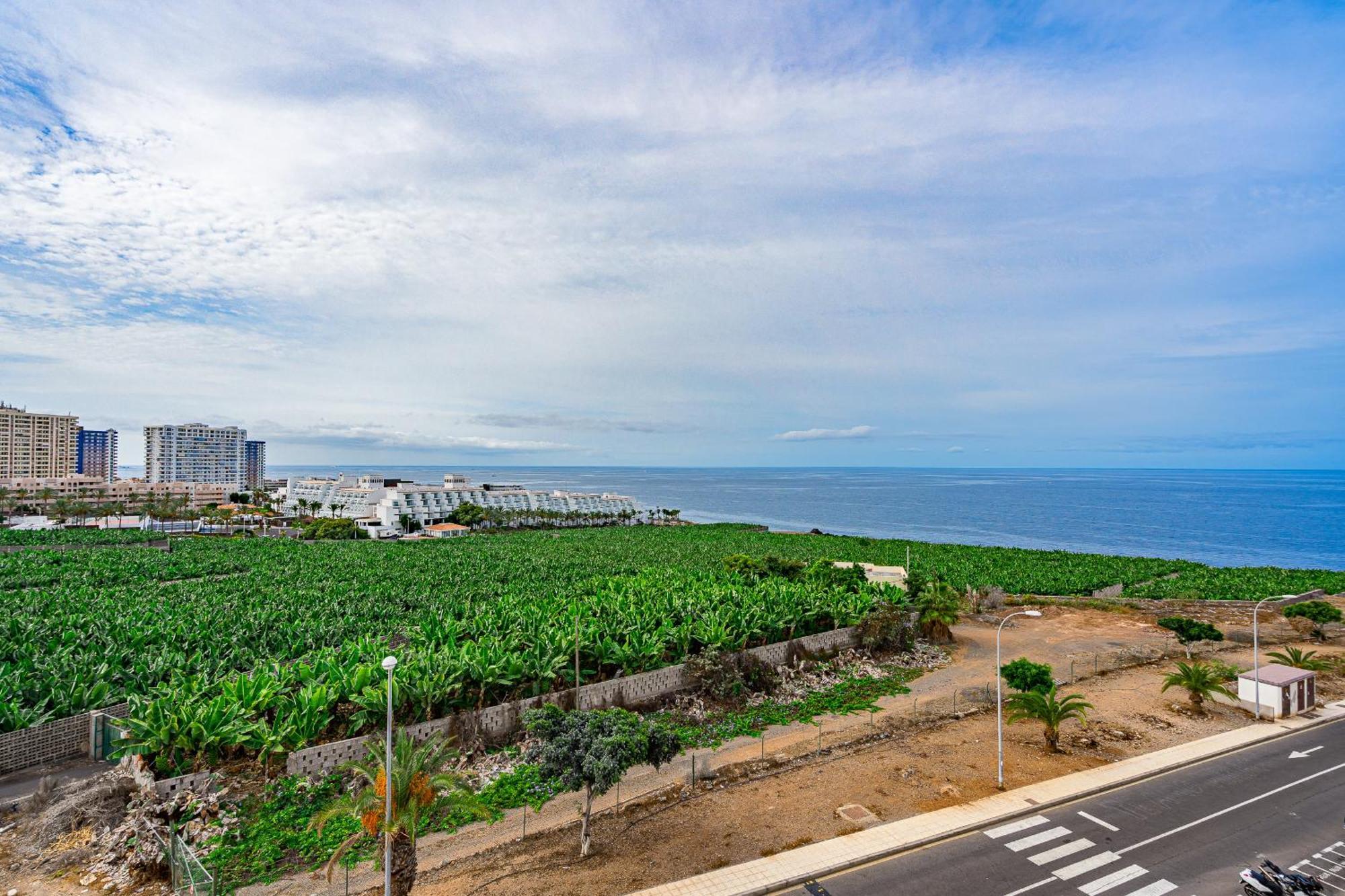 Tropical Views By Sunkeyrents Daire Callao Salvaje Dış mekan fotoğraf